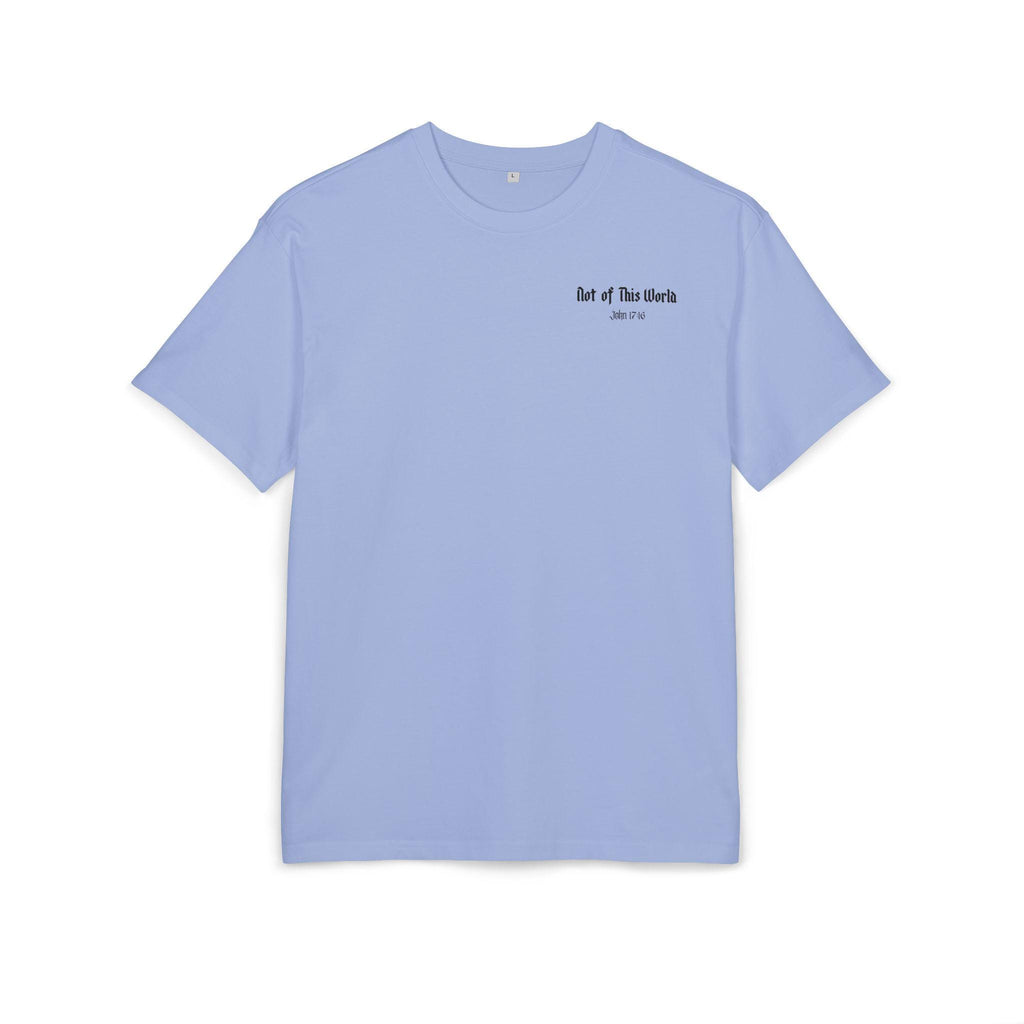 Not of This World tee | Heavenly Gates Illustration