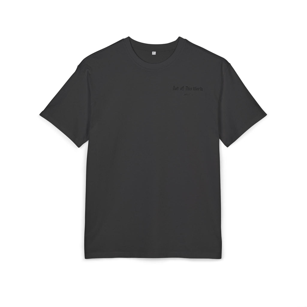 Not of This World tee | Heavenly Gates Illustration